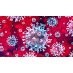 Governo revoga ponto facultativo e suspende festividades de Carnaval